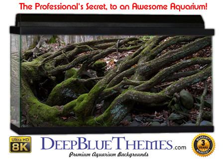 Buy Aquarium Background Habitat 0001 Aquarium Background
