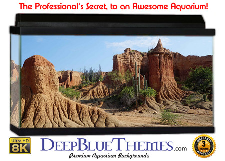 Buy Aquarium Background Habitat 0002 Aquarium Background