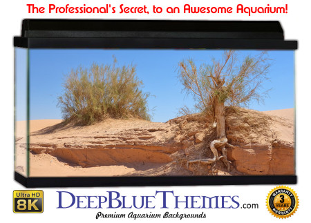 Buy Aquarium Background Habitat 0003 Aquarium Background
