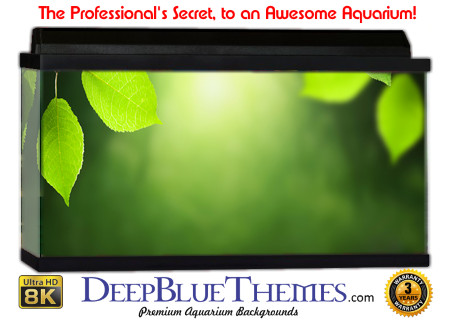Buy Aquarium Background Habitat 0004 Aquarium Background