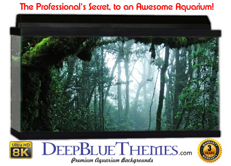 Buy Aquarium Background Habitat 0005 Aquarium Background