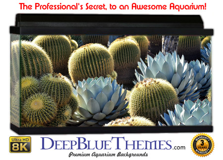 Buy Aquarium Background Habitat 0006 Aquarium Background