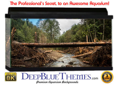 Buy Aquarium Background Habitat 0007 Aquarium Background