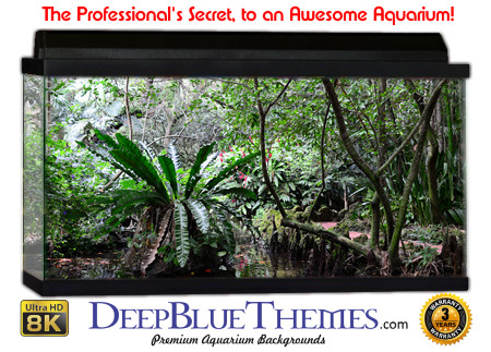 Buy Aquarium Background Habitat 0009 Aquarium Background