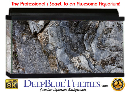 Buy Aquarium Background Habitat 0010 Aquarium Background