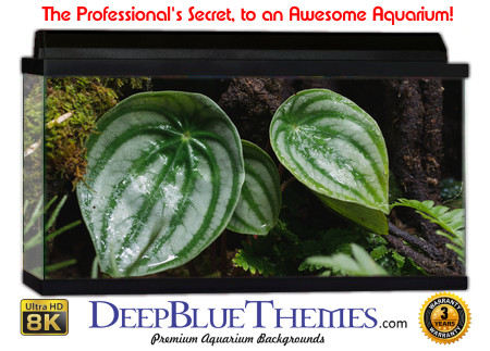 Buy Aquarium Background Habitat 0011 Aquarium Background