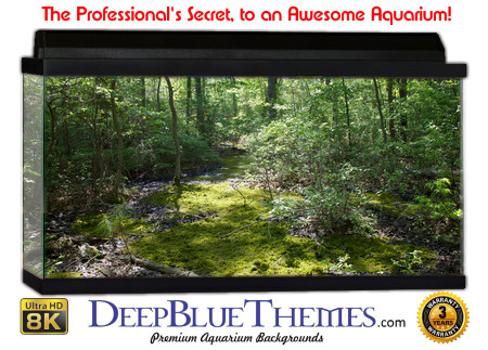 Buy Aquarium Background Habitat 0012 Aquarium Background