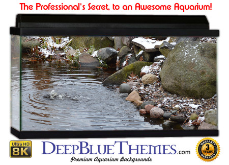 Buy Aquarium Background Habitat 0013 Aquarium Background