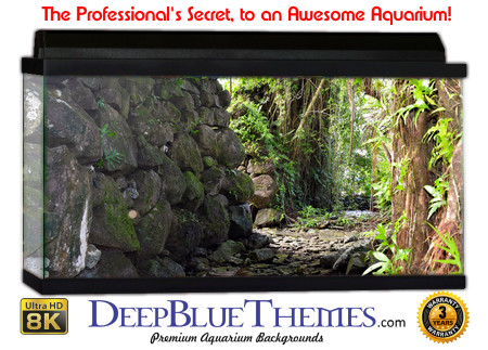 Buy Aquarium Background Habitat 0014 Aquarium Background