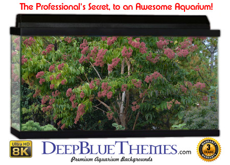 Buy Aquarium Background Habitat 0015 Aquarium Background