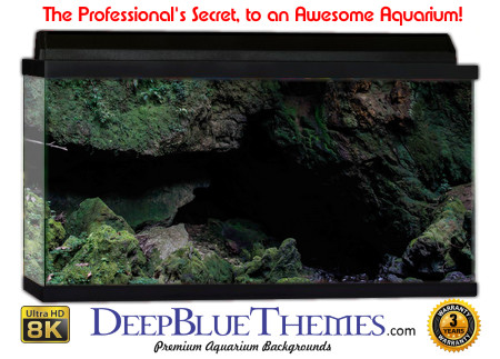 Buy Aquarium Background Habitat 0017 Aquarium Background