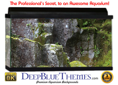 Buy Aquarium Background Habitat 0018 Aquarium Background