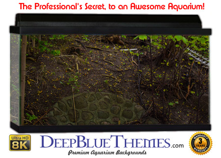 Buy Aquarium Background Habitat 0019 Aquarium Background