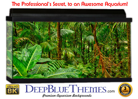 Buy Aquarium Background Habitat 0020 Aquarium Background