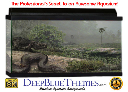 Buy Aquarium Background Habitat 0021 Aquarium Background