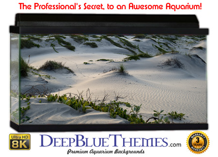 Buy Aquarium Background Habitat 0022 Aquarium Background