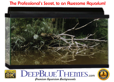 Buy Aquarium Background Habitat 0023 Aquarium Background
