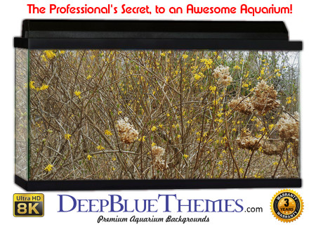 Buy Aquarium Background Habitat 0026 Aquarium Background