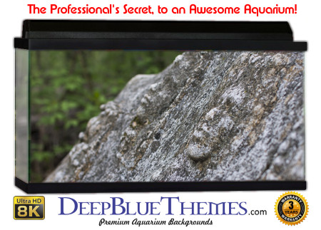 Buy Aquarium Background Habitat 0027 Aquarium Background