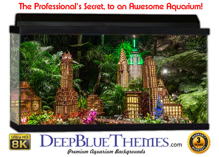 Buy Aquarium Background Habitat 0028 Aquarium Background