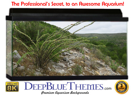 Buy Aquarium Background Habitat 0029 Aquarium Background