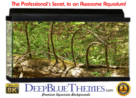 Buy Aquarium Background Habitat 0032 Aquarium Background