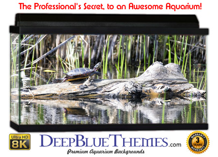 Buy Aquarium Background Habitat 0033 Aquarium Background