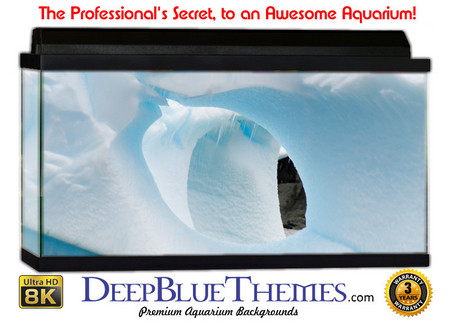 Buy Aquarium Background Ice Escape Aquarium Background