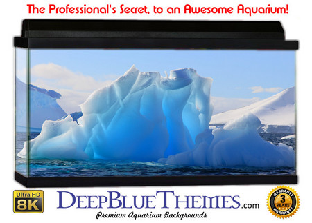 Buy Aquarium Background Ice Flower Aquarium Background