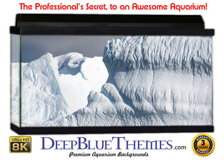 Buy Aquarium Background Ice Formation Aquarium Background
