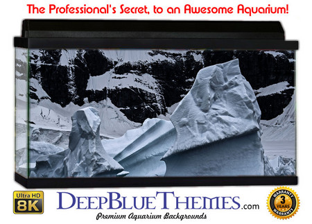 Buy Aquarium Background Ice Frozen Aquarium Background