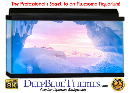 Buy Aquarium Background Ice Heaven Aquarium Background