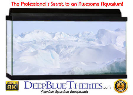 Buy Aquarium Background Ice Island Aquarium Background
