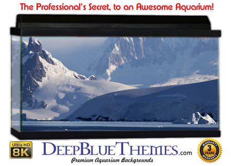 Buy Aquarium Background Ice Landscape Aquarium Background