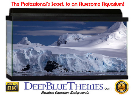 Buy Aquarium Background Ice Layer Aquarium Background