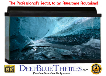 Buy Aquarium Background Ice Pathway Aquarium Background