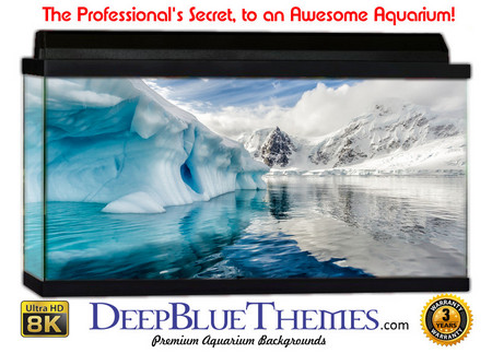 Buy Aquarium Background Ice Portrait Aquarium Background
