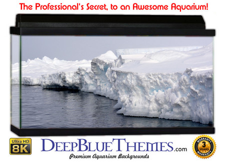 Buy Aquarium Background Ice Shelf Aquarium Background