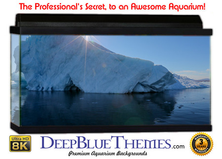 Buy Aquarium Background Ice Sun Aquarium Background