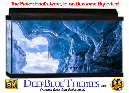 Buy Aquarium Background Ice Tunnel Aquarium Background