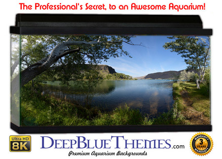 Buy Aquarium Background Lake Bend Aquarium Background