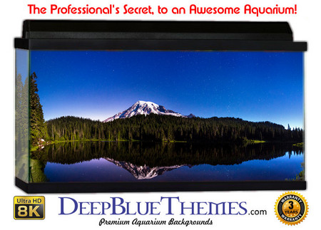 Buy Aquarium Background Lake Cap Aquarium Background