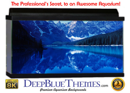 Buy Aquarium Background Lake Cold Aquarium Background