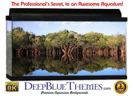 Buy Aquarium Background Lake Forest Aquarium Background