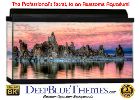 Buy Aquarium Background Lake Island Aquarium Background