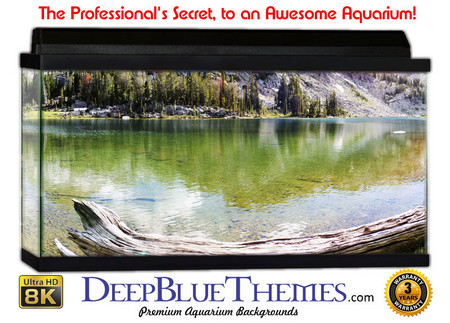 Buy Aquarium Background Lake Log Aquarium Background