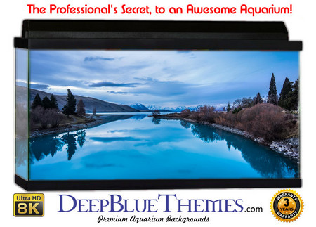 Buy Aquarium Background Lake Peace Aquarium Background