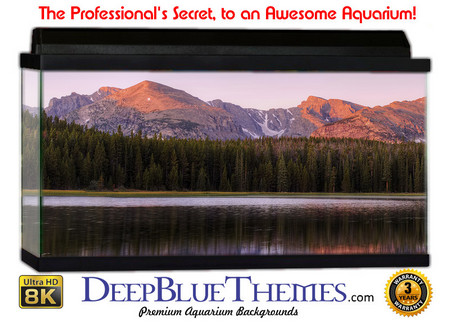 Buy Aquarium Background Lake Peak Aquarium Background