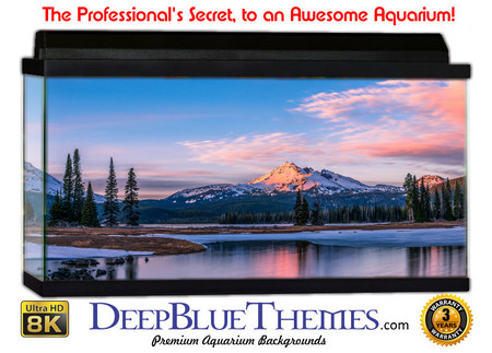 Buy Aquarium Background Lake Shine Aquarium Background
