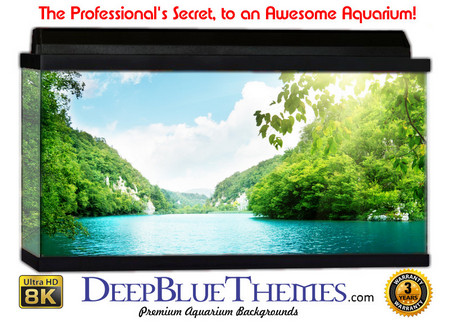 Buy Aquarium Background Lake Sun Aquarium Background